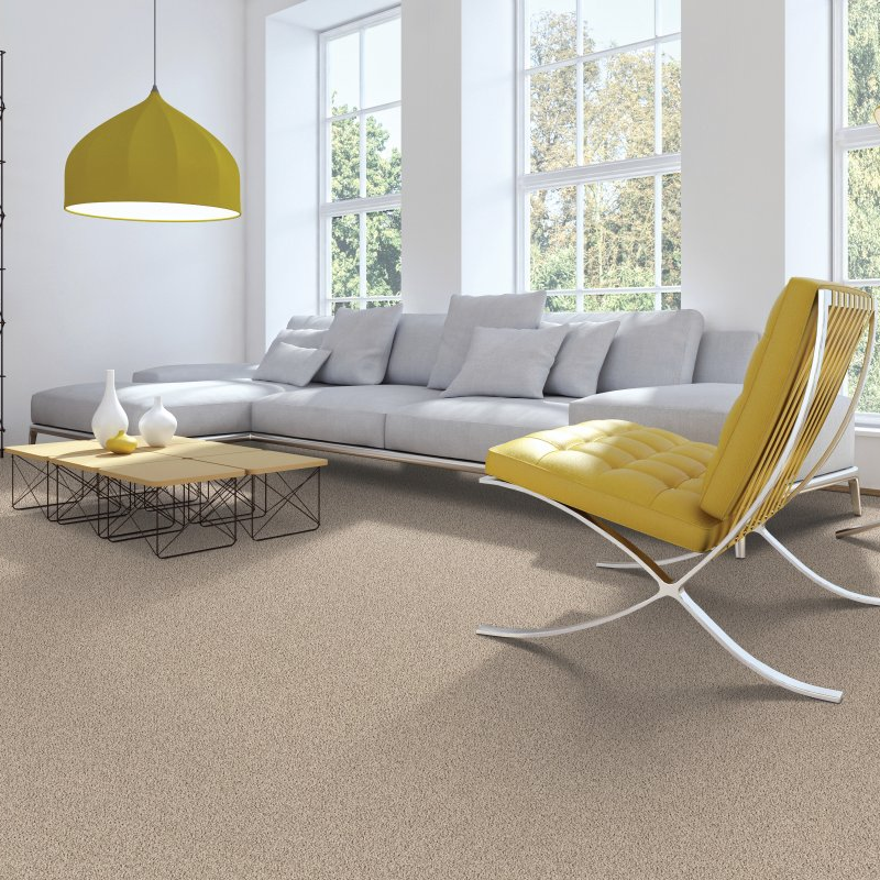 Budget Flooring & Shutters provides easy stain-resistant pet proof carpet in Las Vegas, NV Organic Beauty I - Sand Dollar