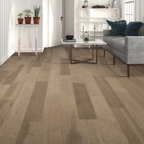 Budget Flooring & Shutters provides pet-friendly vinyl flooring in Las Vegas, NV